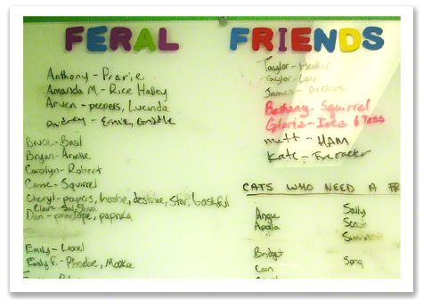 Feral Friends Board R Olson.jpg